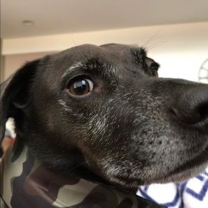 Meet your Posher, John